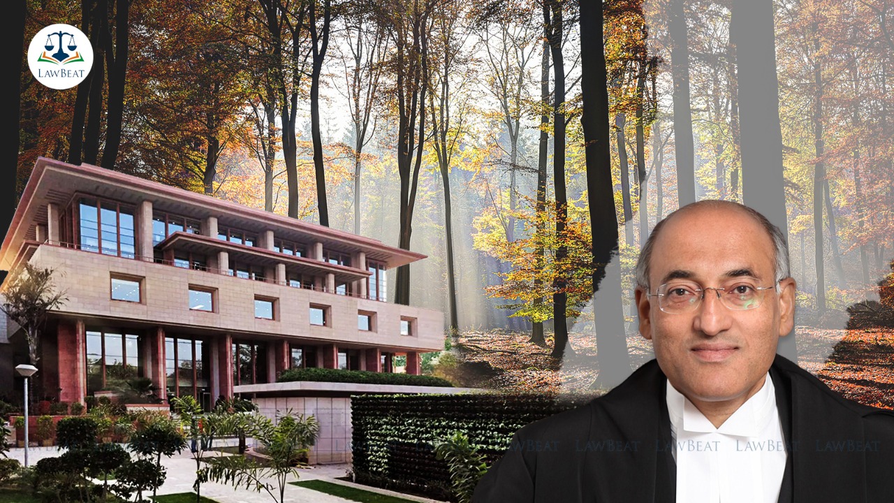 Delhi High Court issues notice in plea against damage to trees during road construction Delhi High Court issues notice in plea against damage to trees during road construction